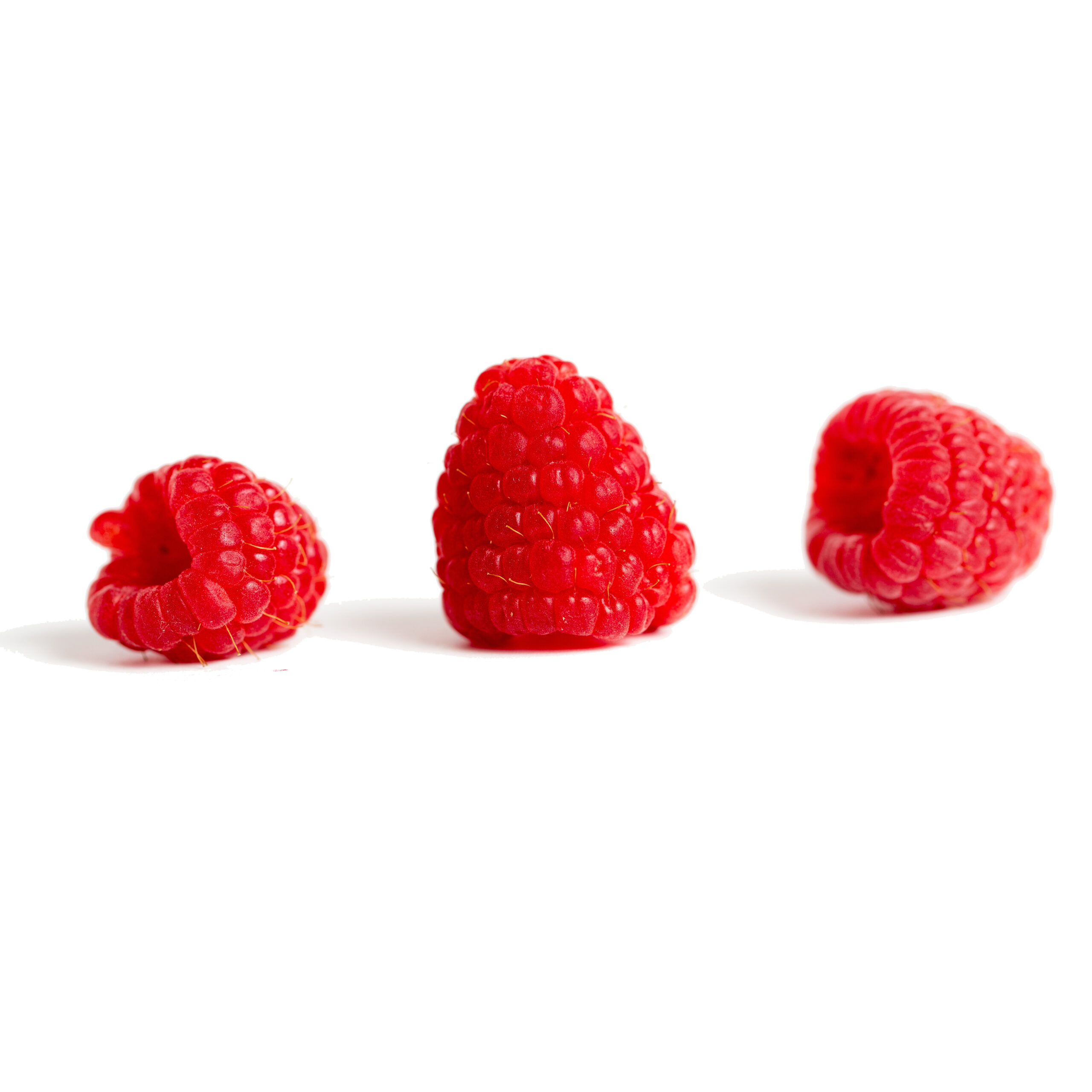 Raspberry Perfume Note Mona The Jasmine